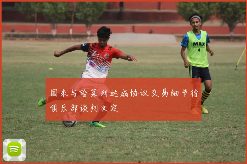 国米与哈莱利达成协议交易细节待俱乐部谈判决定