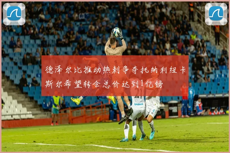 德泽尔比推动热刺争夺托纳利纽卡斯尔希望转会总价达到1亿镑